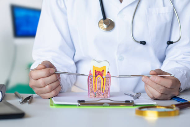 Best Broken or Cracked Tooth Emergency Dentist in Taft Southwest, TX